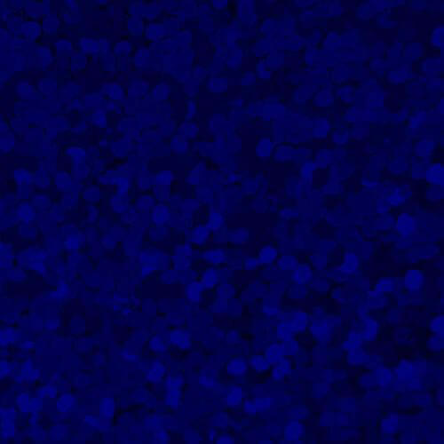 XVINYL Holographic Sparkle HTV - Heat Transfer Vinyl (Royal Blue), 12x10