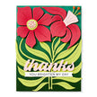 Fresh Picked Daffodils Etched Dies from the Fresh Picked Collection