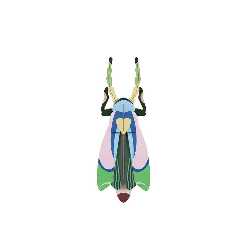 Sakura Beetle