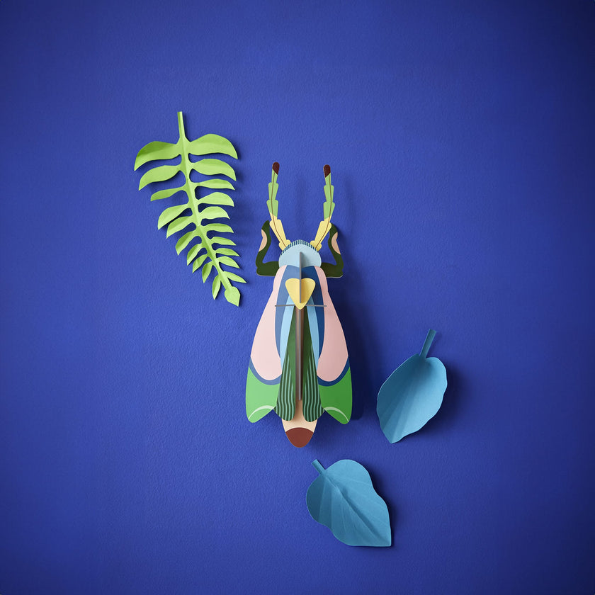 Sakura Beetle