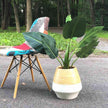 Sal - Bamboo Floor Planter