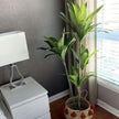 Samy Artificial Dracaena Fragrans Potted Plant 51''