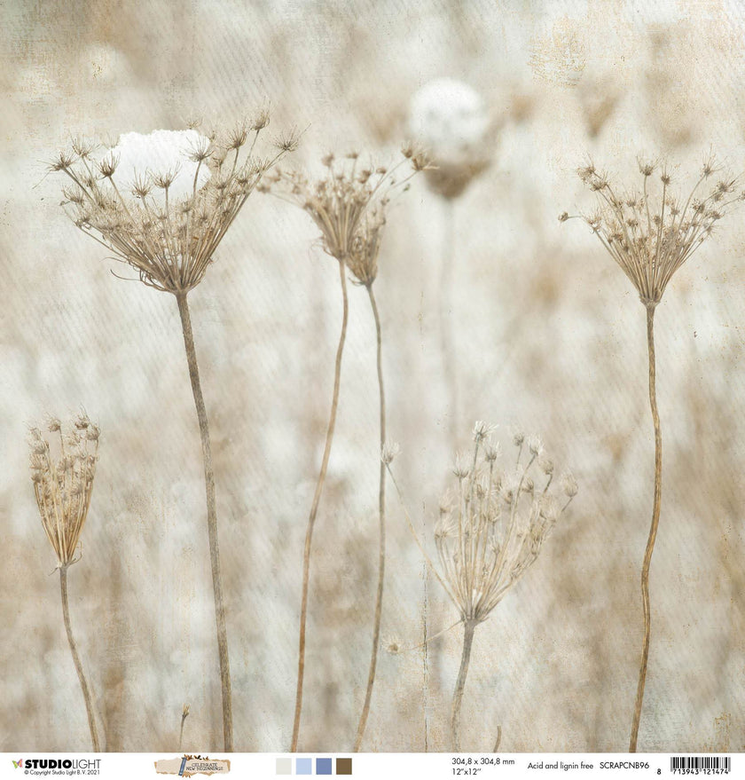 Scrap 200gr Celebrate New Beginnings 305x305mm nr.96