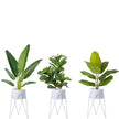 Shira White Planter With Hairpin Legs (61Cm)