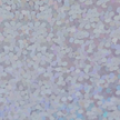 XVINYL Holographic Sparkle HTV - Heat Transfer Vinyl (Silver), 12x10