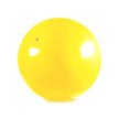 Shosu 120cm / 47