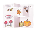 SL Clear Stamp Mushrooms Everlasting Autumn