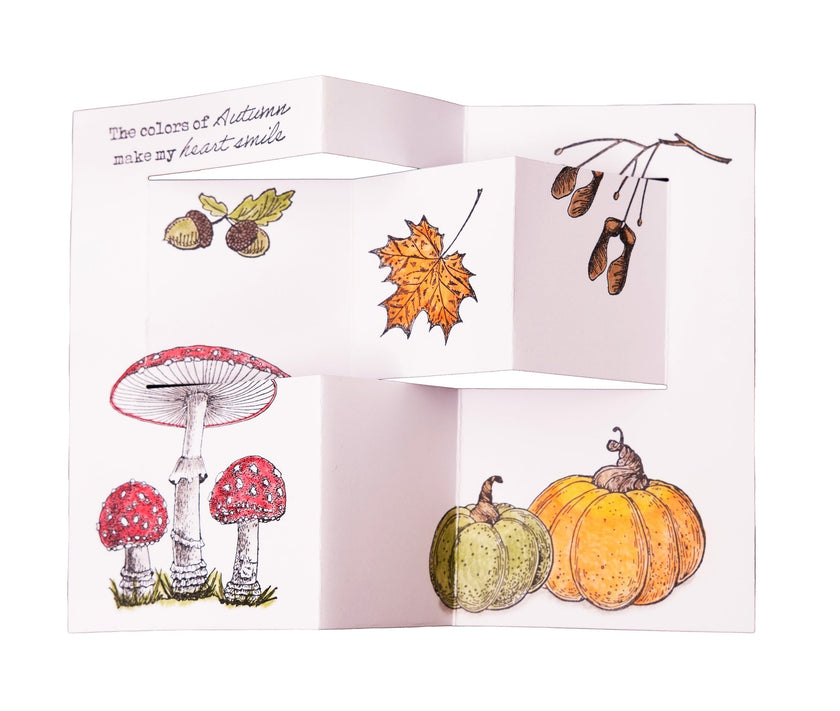 SL Clear Stamp Mushrooms Everlasting Autumn