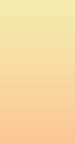 SL Paper Pad Double Sided Gradient Pastel Slimline Essentials 115x220x5mm 36 sh nr.30
