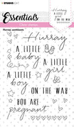 SL Clear Stamp Hurray Sentiments Essentials 105x148x3mm 1 PC nr.172