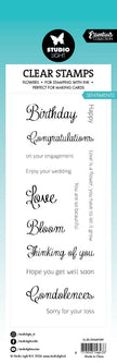 SL Clear Stamp Sentiments Essentials 46,2x142x3mm 13 PC nr.589