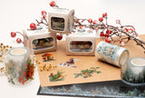 SL Clear Stickers Winter Wonderland On A Roll Essentials 5 Meter