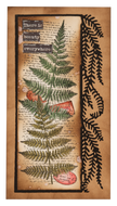 SL Clear Stamp Fern Background Grunge Collection 1 PC