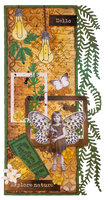 SL Cutting Die Botanical Elements Grunge Collection 13 PC