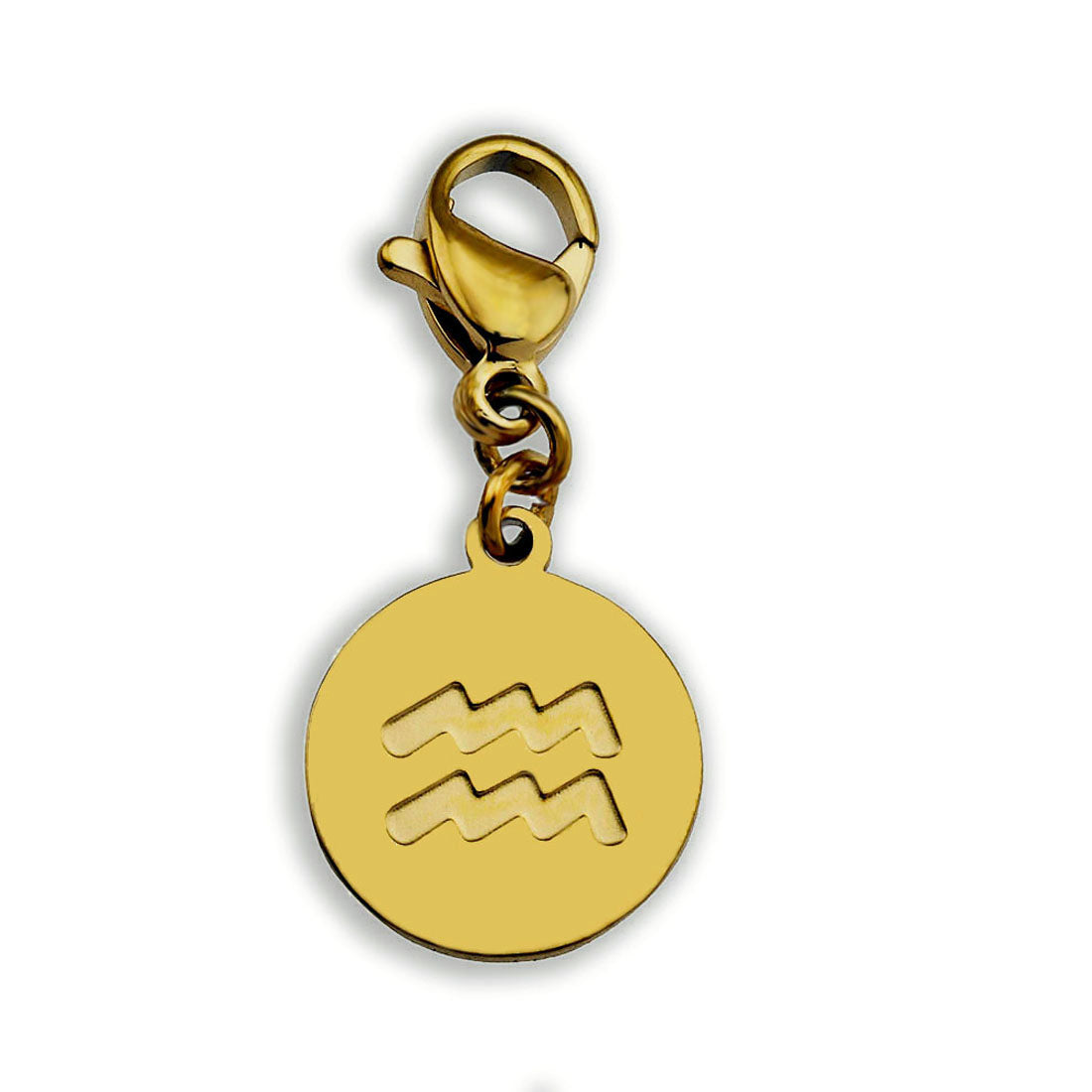 Charme du symbole du ZODIAQUE