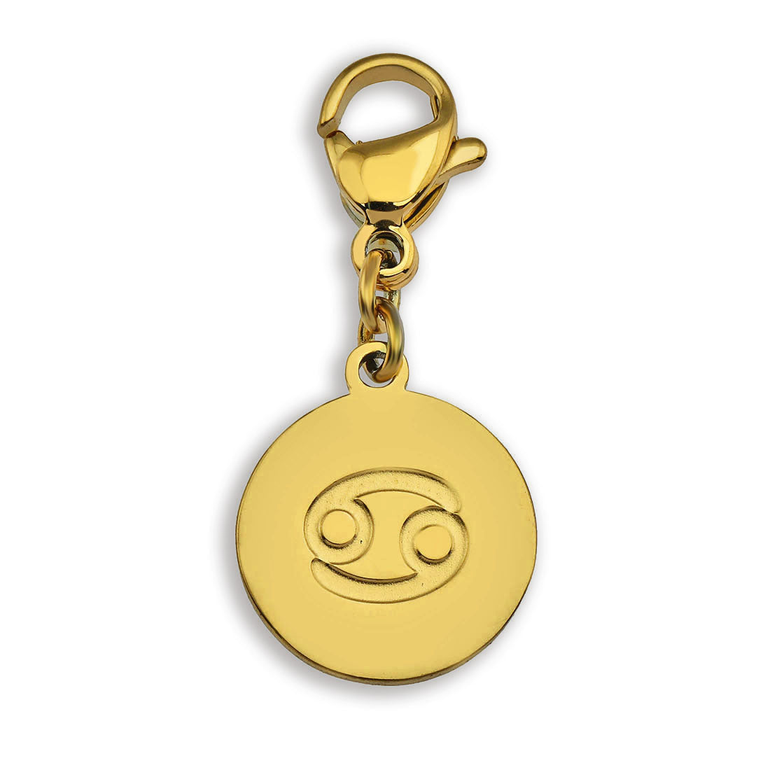 Charme du symbole du ZODIAQUE