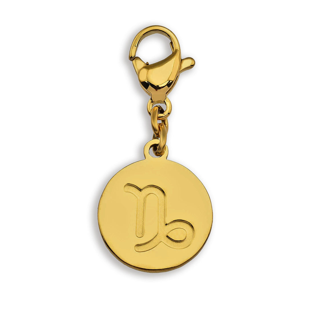 Charme du symbole du ZODIAQUE