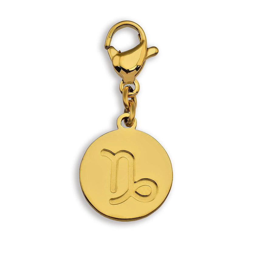 Charme du symbole du ZODIAQUE
