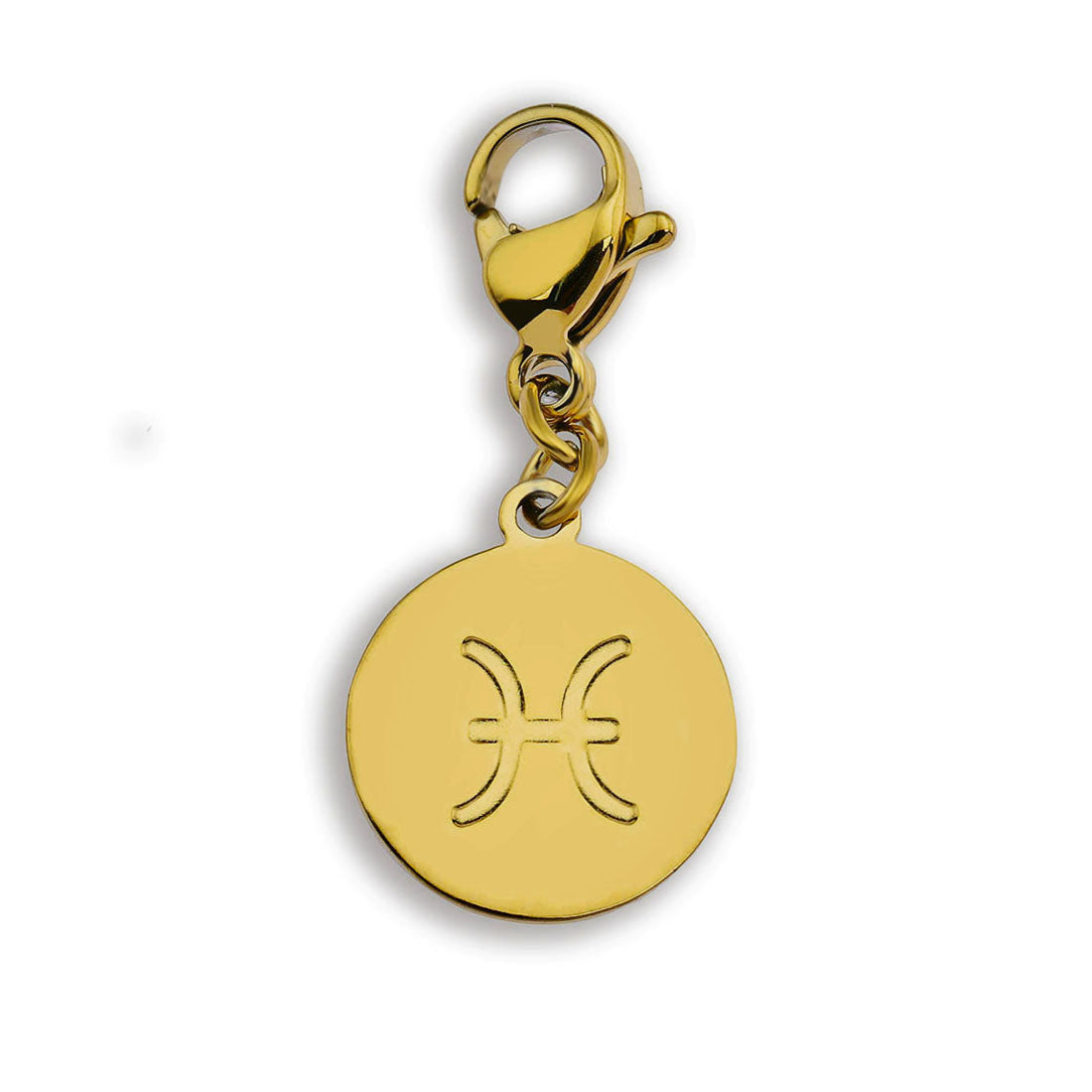 Charme du symbole du ZODIAQUE