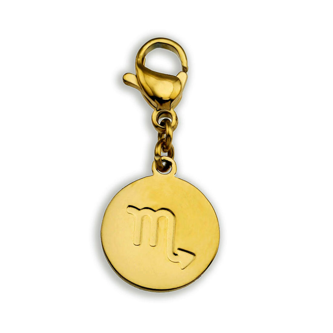 Charme du symbole du ZODIAQUE