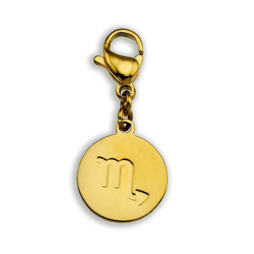 Charme du symbole du ZODIAQUE