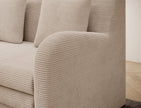 Ario Condo Style 2 Seater Storage Sleeper Sofa - Beige
