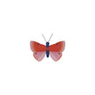 Speckled Copper Butterfly