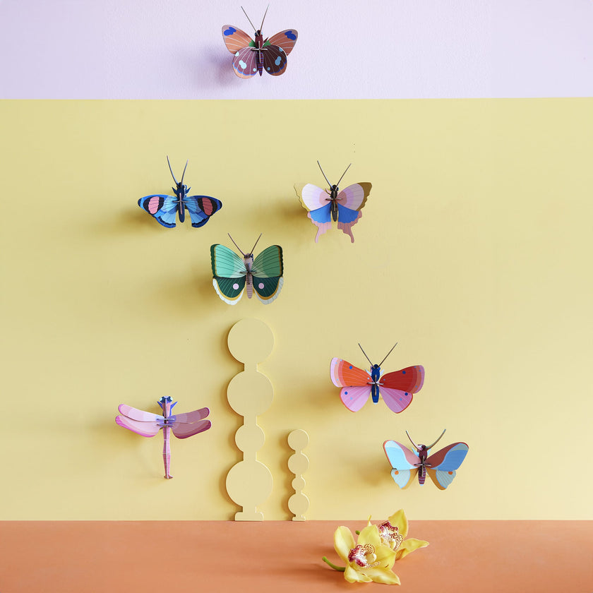 Speckled Copper Butterfly