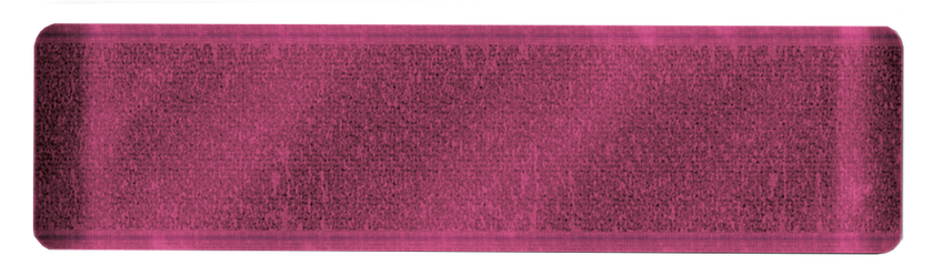 Sara Signature Thorn & Bloom - Velvet Ribbon