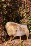 Camel Icelandic Sheepskin