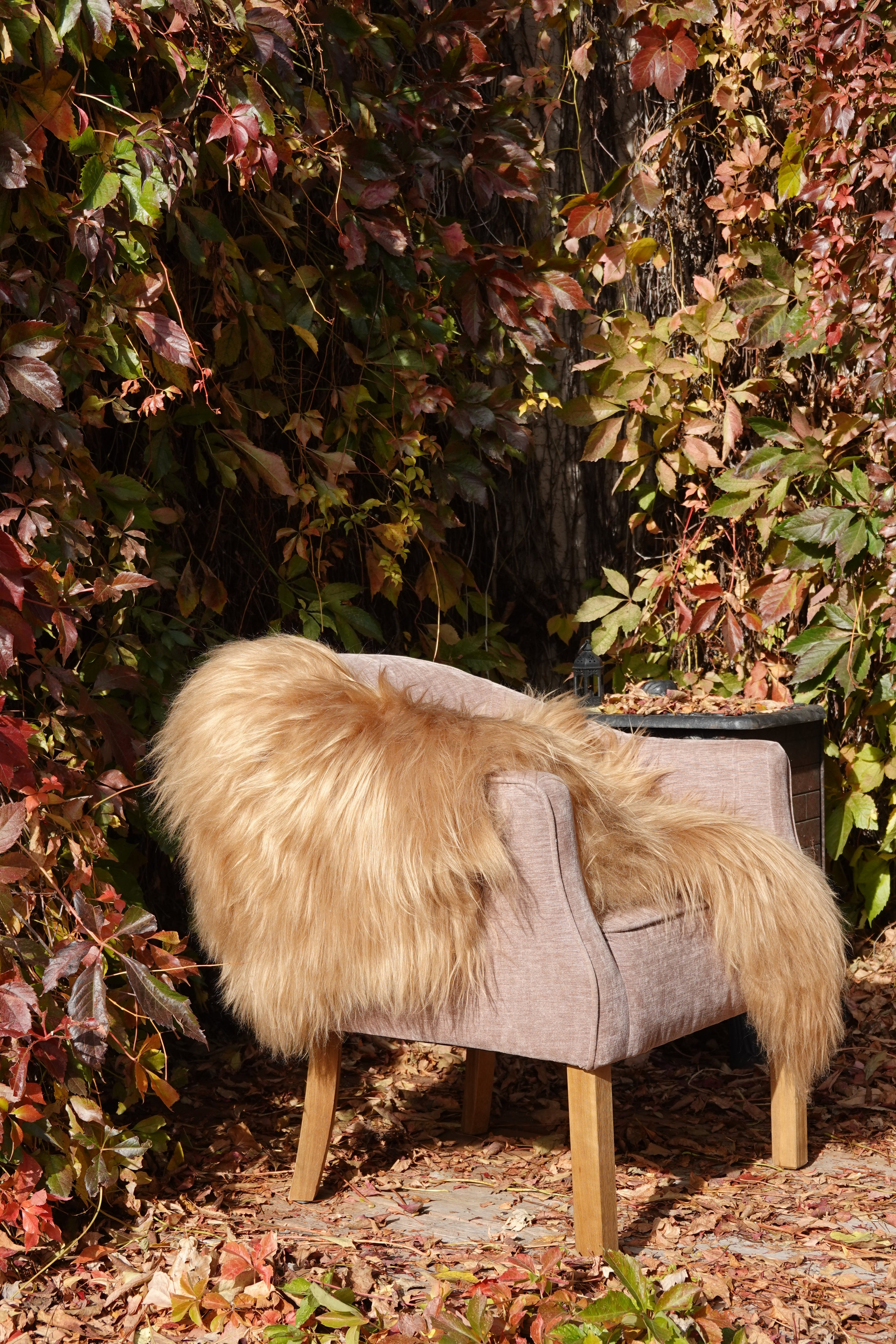 Camel Icelandic Sheepskin