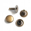 Sallie Tomato 24 Large Rivets 13mm