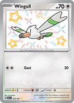 Wingull 203/091