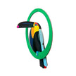 Swinging Toucan