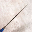 Takeshi Saji STRIX Gyuto 210 mm