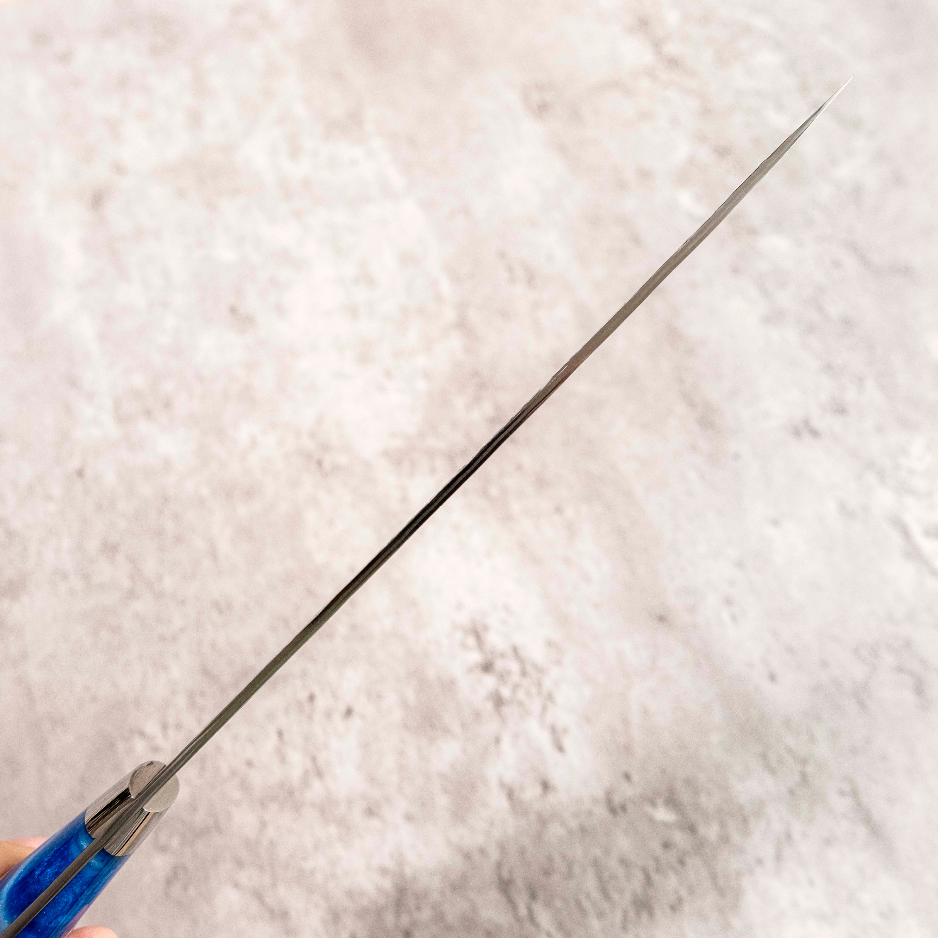 Takeshi Saji STRIX Gyuto 210 mm