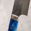 Takeshi Saji STRIX Gyuto 210 mm