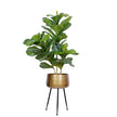 Sara - Brass Planter With Black Legs