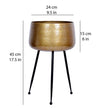 Sara - Brass Planter With Black Legs