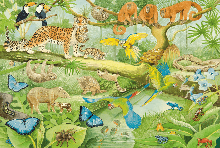 Schmidt Spiele - Puzzle - Animals In The Jungle (100-Piece Puzzle)