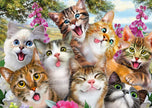 Schmidt Spiele - Puzzle - Pz500 - Cat Selfie