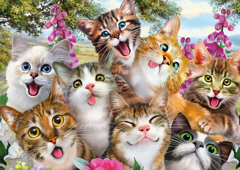 Schmidt Spiele - Puzzle - Pz500 - Cat Selfie