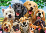 Schmidt Spiele - Puzzle - Pz500 - Selfie de chien