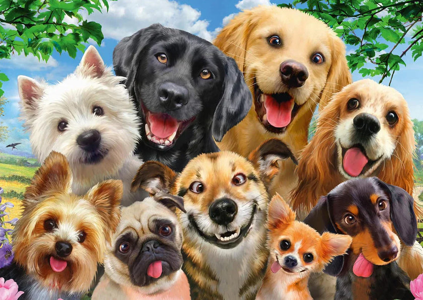 Schmidt Spiele - Puzzle - Pz500 - Selfie de chien