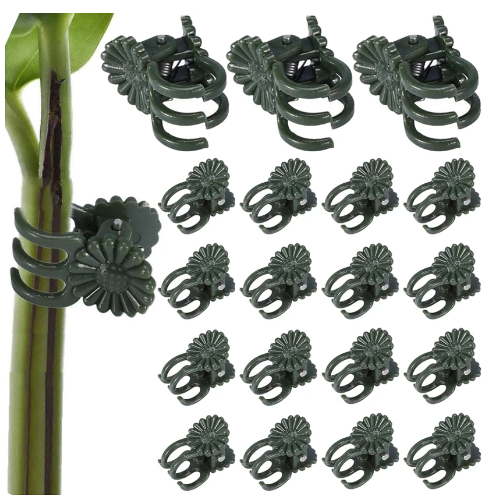 Daisy Clips
