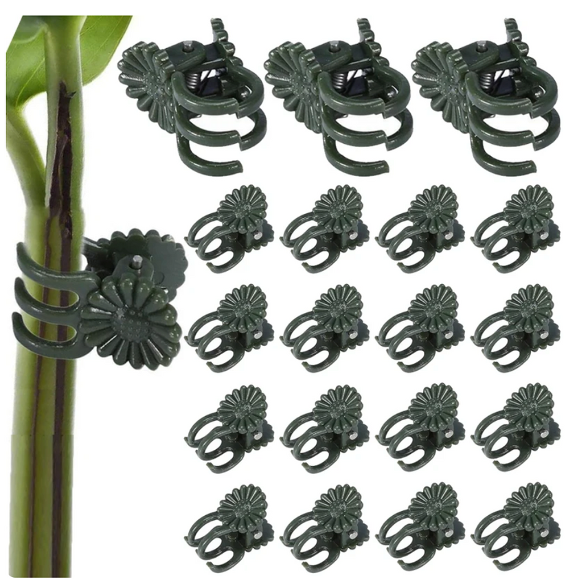 Daisy Clips