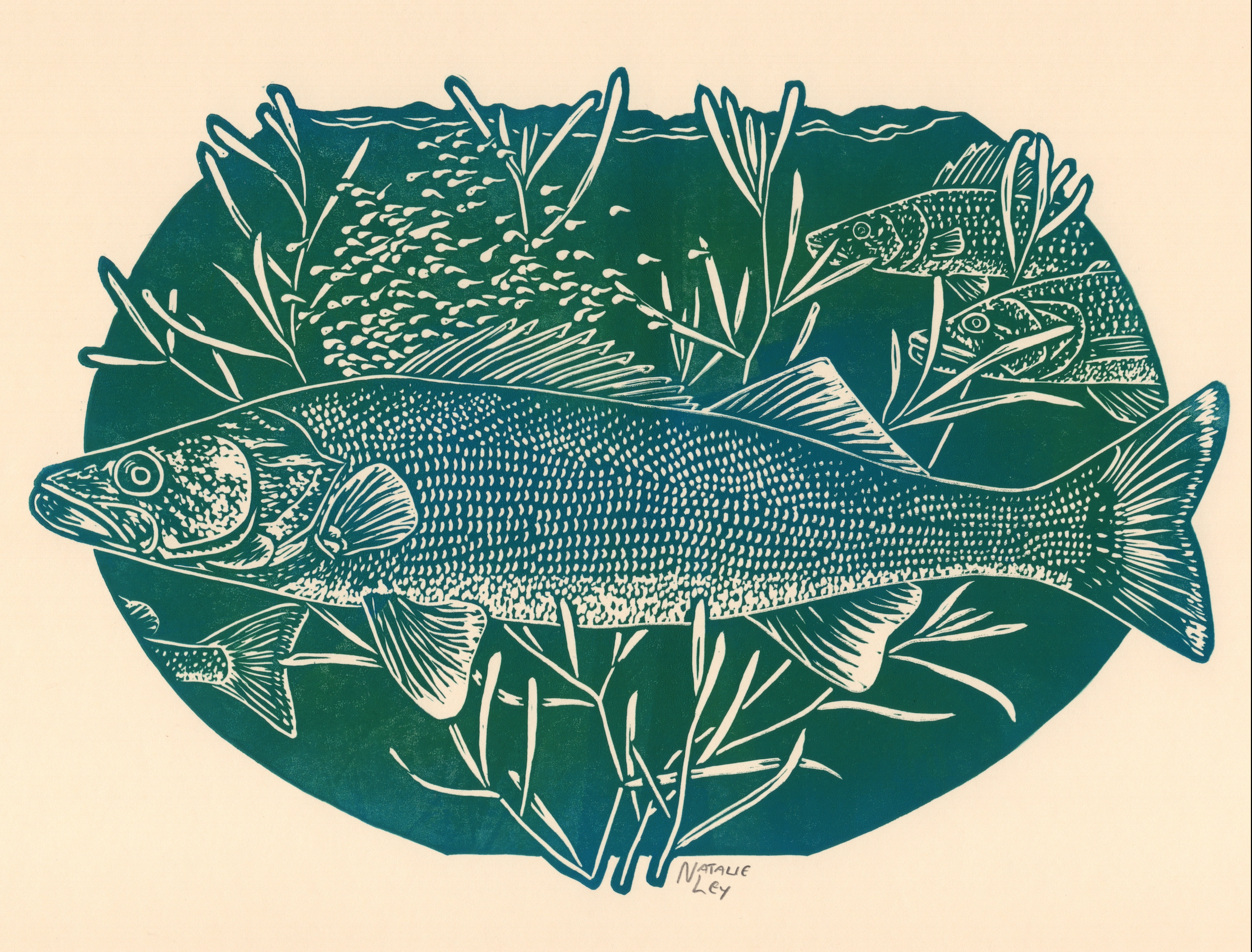 'Walleye' lino print