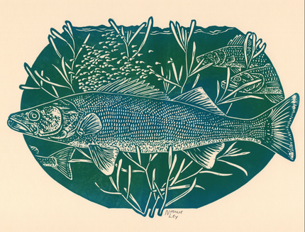 'Walleye' lino print