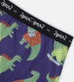 Organic Cotton Boxer | Blue Dino Print | Deux Par Deux
