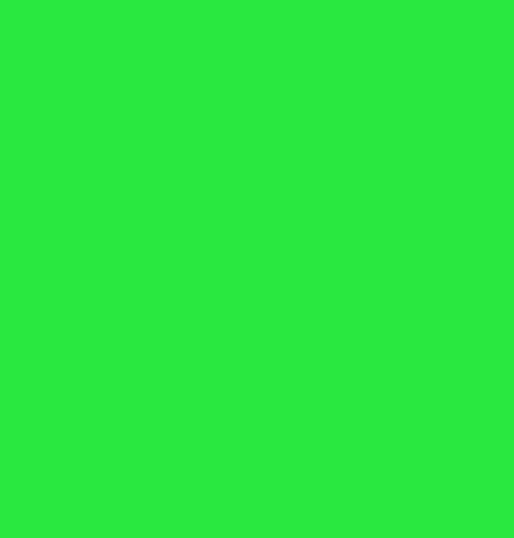 Craft Neon Green HTV Vinyl 12